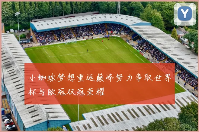 小蜘蛛梦想重返巅峰努力争取世界杯与欧冠双冠荣耀