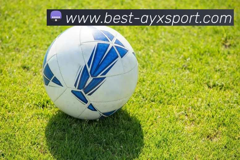 爱游戏体育发展历程